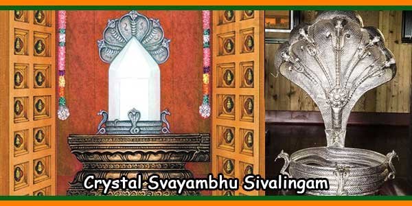 Crystal Svayambhu Sivalingam