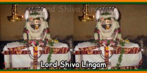 Lord Shiva Lingam