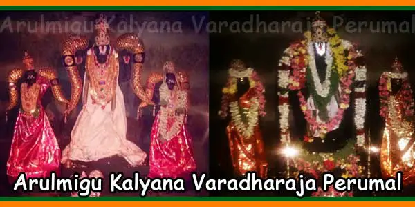 Arulmigu Kalyana Varadharaja Perumal