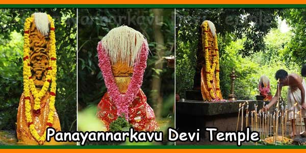 Panayannarkavu Devi Temple
