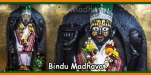 Bindu Madhava