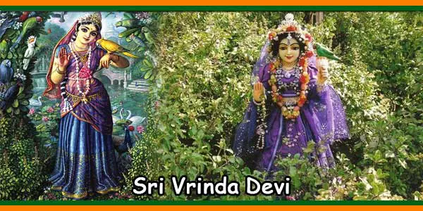 Sri Vrinda Devi Ashtakam Lyrics in Oriya with Meaning