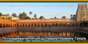 Thirunageswaram Arulmigu Naganathaswamy Raghu Temple