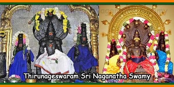 Thirunageswaram Sri Naganatha Swamy