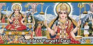 Goddess Parvati Devi
