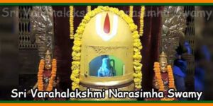 Sri Varahalakshmi Narasimha Swamy