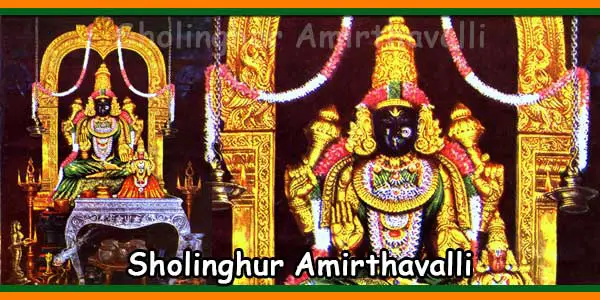 Sholinghur Amirthavalli