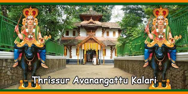 Thrissur Avanangattu Kalari
