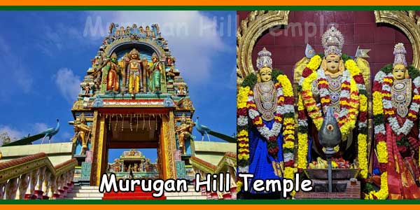 Murugan Hill Temple