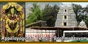 Appalayagunta Temple Brahmotsavam