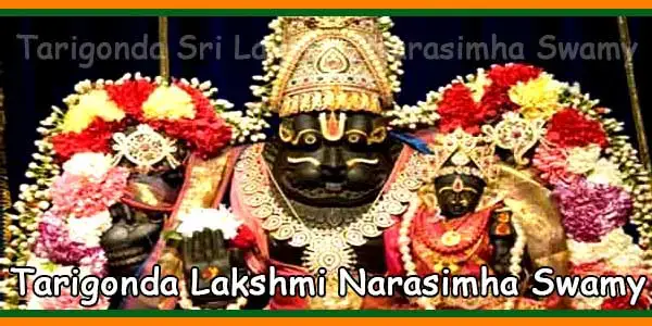 Tarigonda Sri Lakshmi Narasimha Swamy