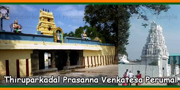 Thiruparkadal Sri Prasanna Venkatesa Perumal Temple Timings, History