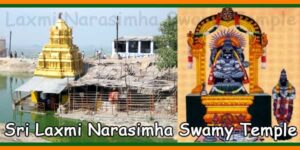 Matsyagiri Sri Laxmi Narasimha Swamy Temple