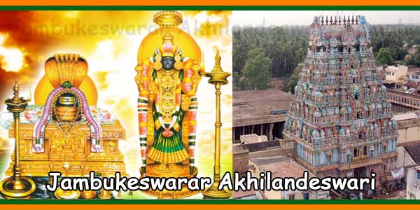 Tiruvanaikovil Arulmigu Jambukeswarar Akhilandeswari Temple