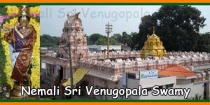 Nemali Sri Venugopala Swamy Temple