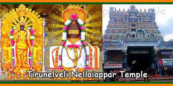 Tirunelveli Nellaiappar Temple Timings, History, Pooja