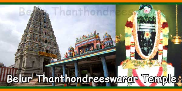 Belur Thanthondreeswarar Temple