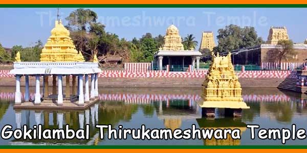 Puducherry Gokilambal Thirukameshwara Temple