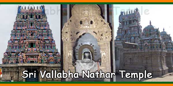 Sri Chathuranga Vallabha Nathar Temple