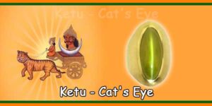 Ketu - Cat's Eye