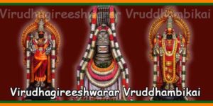 Virudhachalam Virudhagireeshwarar Vruddhambikai