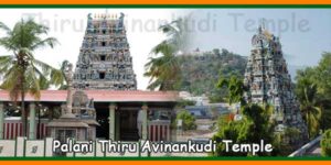 Palani Thiru Avinankudi Temple