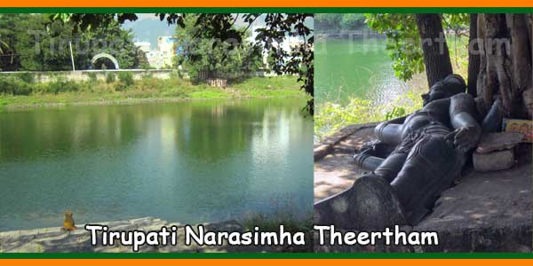 Tirupati Narasimha Theertham/ Teeneru/ Manchi Neela Gunta History, Route