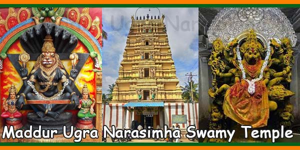 Maddur Ugra Narasimha Temple Hours